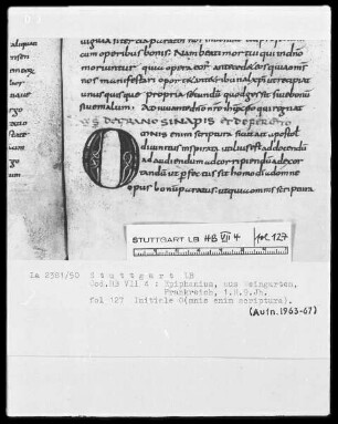 Epiphanius Latinus, Interpretatio evangeliorum — Initiale O(mnis enim scriptura), Folio 127recto