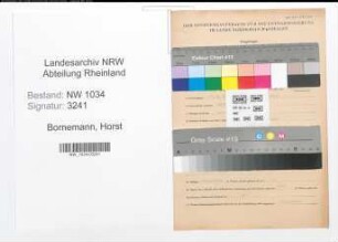 Entnazifizierung Horst Bornemann , geb. 17.08.1913 (Hauptfeldwebel)