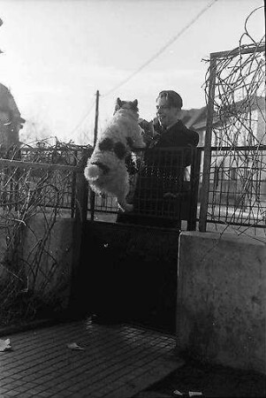 Bukarest: Pu und [Hund] Bobby, springt an der Haustür hoch, von oben