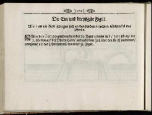 Die Ein und dreysigste Figur. - Die Fünff und dreyssigste Figur.