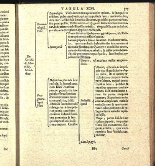 Tabula XCVI.