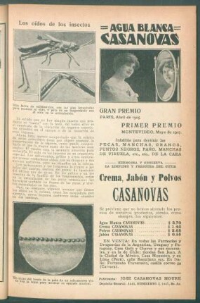 Los oídos de los insectos