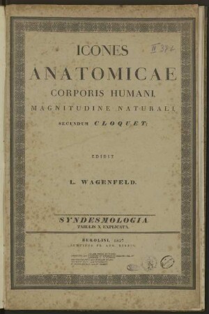 Icones anatomicae corporis humani, magnitudine naturali secundum Cloquet ; [Tafelbd.]