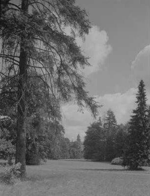 Wiesenburg/Mark. Blick zum Schloss Wiesenburg durch den Schloßpark