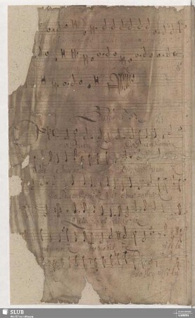 Da pacem Domine in diebus nostris