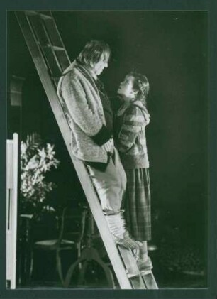 Die Wildente (Henrik Ibsen)