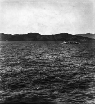 Meer und Küste : Blick vom Wasser auf eine Küste