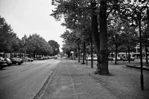 Große Straße Richtung Norden