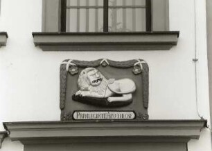 Belgern, Markt 9. Wohnhaus mit Löwen-Apotheke (um 1850). Portalbekrönung: Löwen-Relief. Sandstein, farbig gefaßt