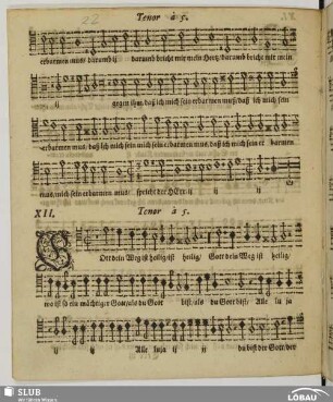 XII. Gott dein Weg ist heilig