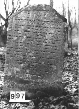 Grabstein 997 (Index: 99899561) Material: Sandstein Zustand: angewittert Maße HxBxT: 108x61x9 cm Beschreibung: Stele mit oben abgeflachtem Dreiecksabschluss, auf Oberrahmen Blüte, darunter Levitenkanne Symbolik: Levitenkanne: Grabstein 997 (Nachholaufnahme)