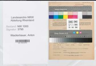 Entnazifizierung Anton Wackerbauer, geb. 31.10.1906 (Arzt)