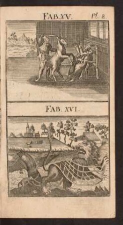 Pl. 8. Fab. XV. Fab. XVI.