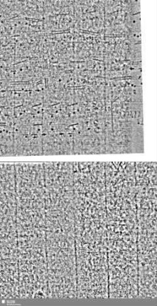 Lilienschild + IESV / Buchstaben LW = S.3/4+7/8