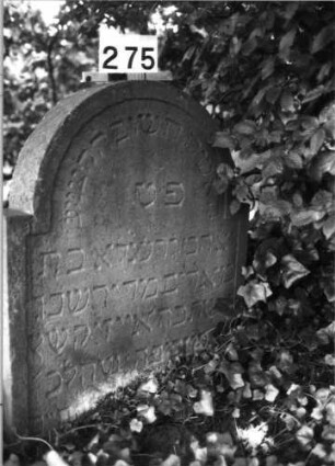 Grabstein 275 (Index: 100085114) Maße HxBxT: 80x72x13 cm Beschreibung: Stele, eingezogener Rundbogenabschluß: Grabstein 275