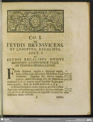 Cap. I. De Feudis Brunsvicens. Et Luneburg. Regalibus