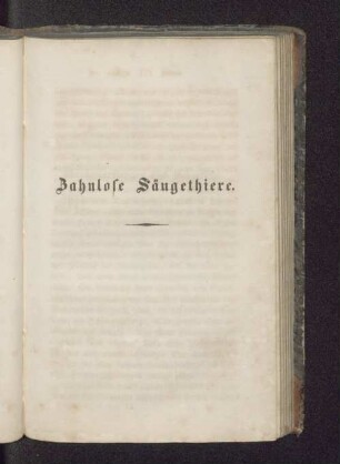Zahnlose Säugethiere.