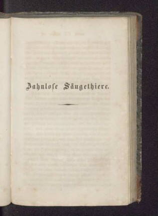 Zahnlose Säugethiere.
