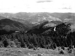 Blick vom Gipfel des Belchen über den Schwarzwald — Negativ
