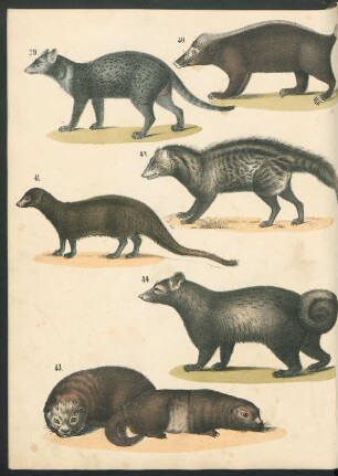 Tafel: [Fig. 39.-47.]