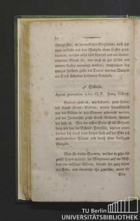 Sellerie. Apium graveolens. Linn. Cl. V. Franz. cellery.