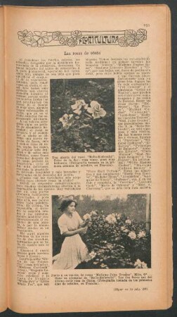 Las rosas de otoño : Floricultura