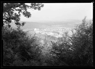 Blick durch den Wald auf Industriegebiet