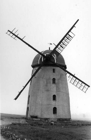 Falkenhain-Voigtshain. Turmholländer