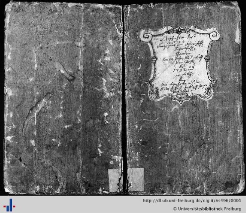 Hs. 496