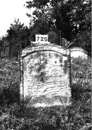 Grabstein 725