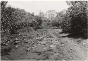 Landschaft in der Nähe der Fazenda Divisa : 0,44 km entfernt, Höhe: 425 m