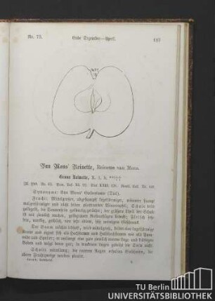 Nr. 73. Van Mons' Reinette, Reinette van Mons.