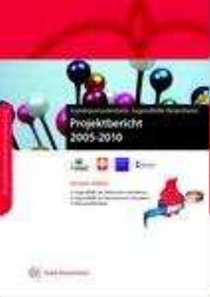 Sozialraumorientierte Jugendhilfe Rosenheim : Projektbericht 2005-2010