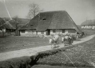 Görwihl, Bauernhaus : Görwihl-Segeten. Bauernhaus. Eingangsseite