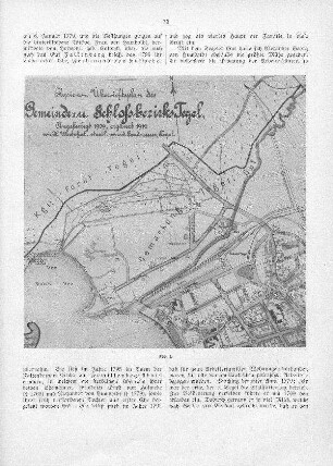 Abb. 3. Kopie des Übersichtsplan des Gemeinde- u. Schlossbezirks Tegel