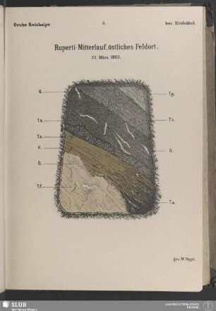 5. Ruperti-Mitterlauf, östliches Feldort. 22. März 1883