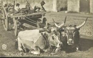 137 - Castelli Romani - Carri a buoi -