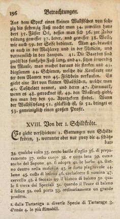 XVIII. Von der 1. Schildkröte