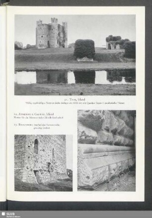 Trim, Irland, normannische Anlage um 1230