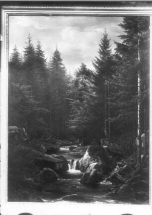 Waldlandschaft mit Bach