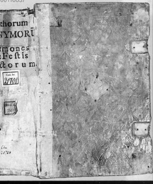 Sermones. Jacobi Carthusiensis prope muros Erdfordie tractatus de animabus et spiritibus [u.a.] - BSB Clm 21708