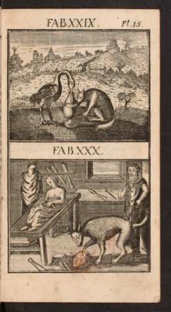 Pl. 15. Fab. XXIX. Fab. XXX.