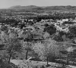 Archivfotografie "ausland_spanien_ibiza_landschaft_21410"