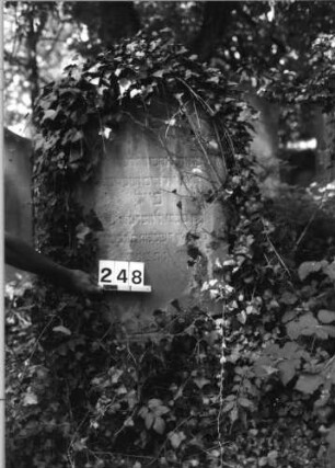 Grabstein 248 (Index: 100085073) Zustand: stark verwittert mit Textverlust Maße HxBxT: 147x59x30 cm Beschreibung: Stele, profiliert. Sockel, eingezog. Rundbogenabschl. , rechteck. Schriftfeld eingetief: Grabstein 248