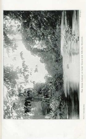 Upper reaches of the Klang River, near Sakai Houses at twelfth mile from Kuala Lumpur