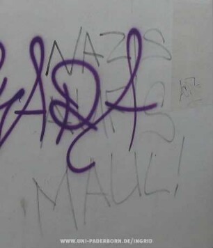 NAZIS AUF'S MAUL!