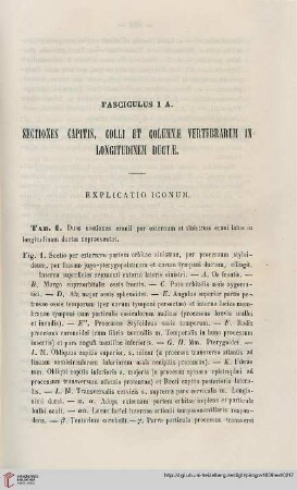 Fasciculus 1A: Sectiones capitis, colli et columnae vertebrarum in longitudinem ductae