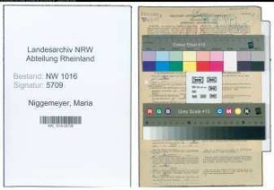Entnazifizierung Maria Niggemeyer , geb. 30.11.1885 (Beamtin)