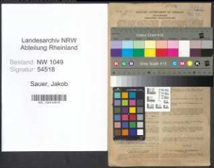 Entnazifizierung Jakob Sauer , geb. 22.09.1901 (Kaufmann)