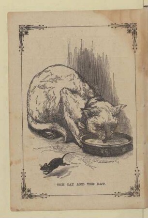 THE CAT AND THE RAT